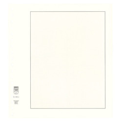 LINDNER paquet (10) feuilles neutres en carton blanc avec quadrillage